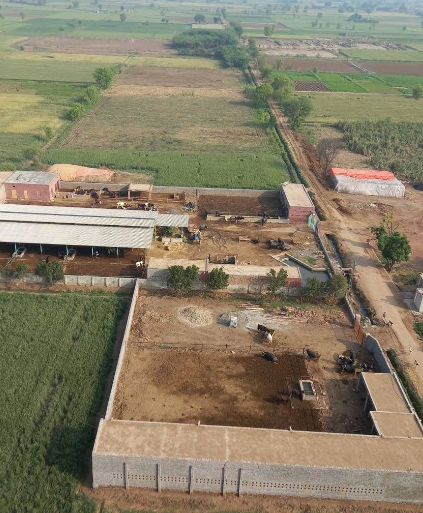 Rana Dairy Farm