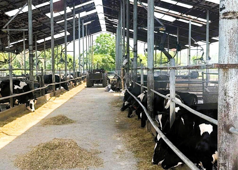 Farm equipment and storage