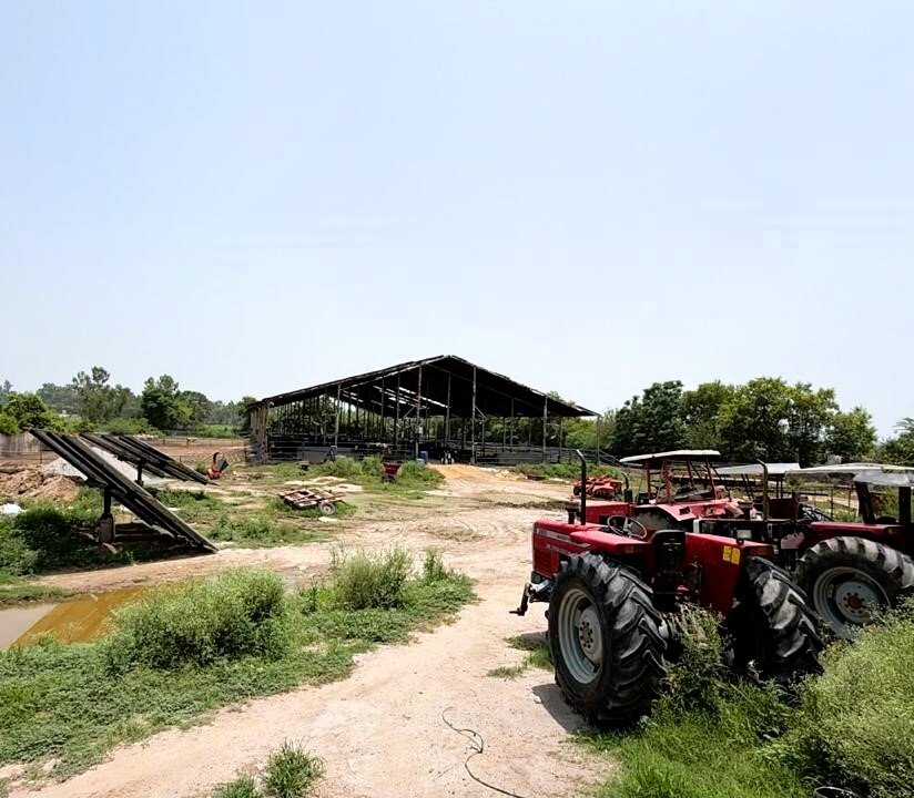 Farm staff at work
